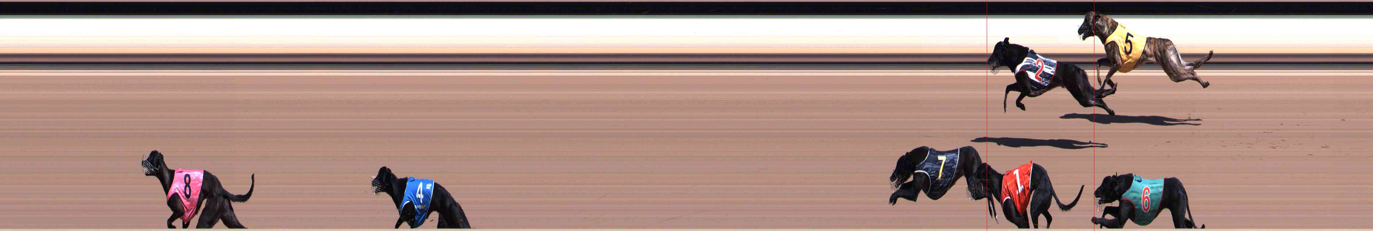 Race result finish photo